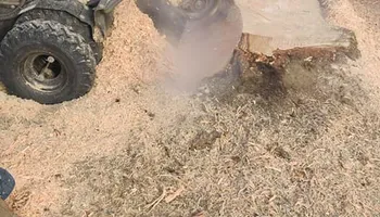 Tree Removal for A&J WA Tree Services in Kent, WA