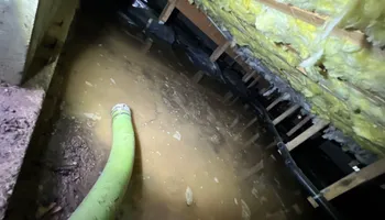 Water Mitigation for No Fear Restoration LLC in Port Angeles, WA