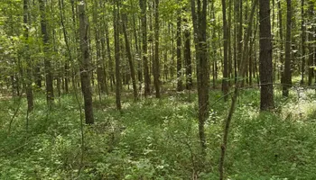 Demolition for Simmons land works in Sardis,, TN