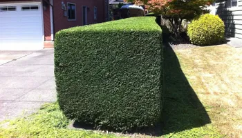 Lawn Maintenance for Vaske Lawn Care in Burlington, KY