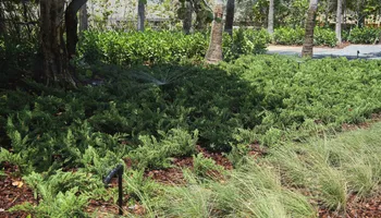 Landscaping for Arazoza Brothers Corporation in Miami, FL