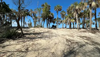 Land Clearing for McLeran in Naples, FL