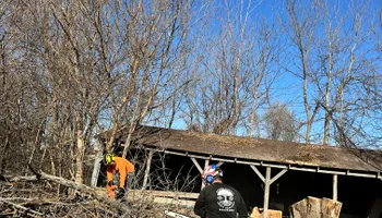 Tree Removal for Cross Family Tree Service in Kearney, MO