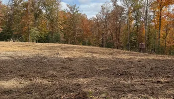 Driveway Design & Build for Lewis Oaks Landscaping in King and Queen County, VA