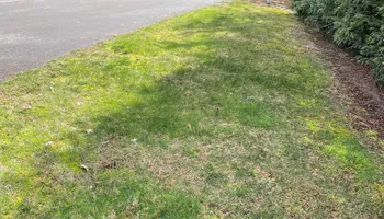 Mowing for Stealth Landscaping in Black Diamond, WA