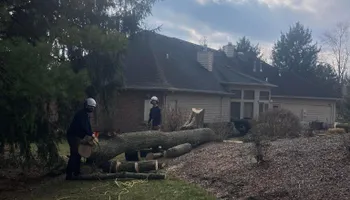 Tree Removal for Summit Tree Care LLC in Fort Wayne, IN