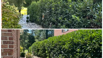 Lawn Care for KP Landscaping in Williamsburg, VA