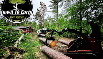 Tree Removal for Down To Earth Tree Service in Red Wing,  Minnesota