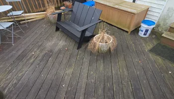 Interior Painting for Freshlook Painting LLC in Springfield, PA