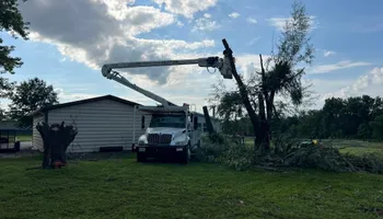Tree Removal for Baker Professional Services LLC in Shelbina, MO