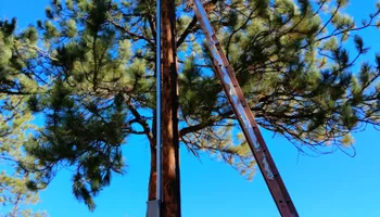 Electrical Repairs for Spearhead Electric in Colorado Springs, CO