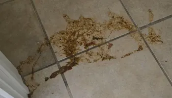 Residential Cleaning for A+ Cleaning and Services LLC in Deep Creek Lake, MD 