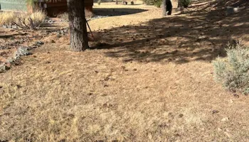 Weeding for G&B Yard Service in Ruidoso Downs, NM