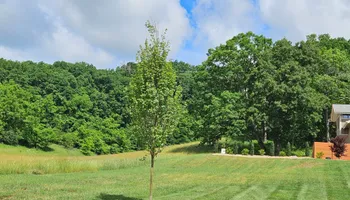 Landscape Design Consultation for Simply Natural Landscape in Abingdon, VA