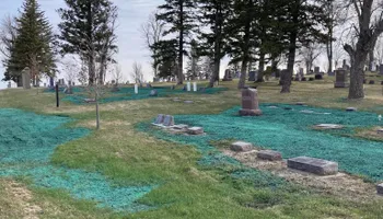 Hydroseeding for TS Hydroseeding in Morris,  MN