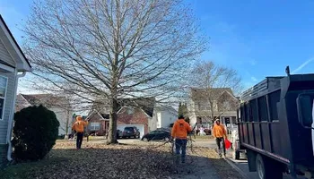 Tree Removal for Ross Family Tree Service LLC  in Hohenwald, TN