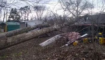 Tree Removal for Puckett's Tree Service in Decatur County, TN