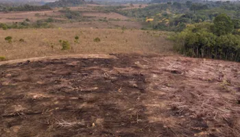 Lawn Maintenance for Twin Peaks Lawn Care  in Front Royal, VA