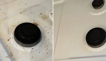 Commercial Cleaning for OrganiClean in Thomaston, ME