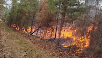 Land Clearing for Davis Landworx in Clanton,  AL