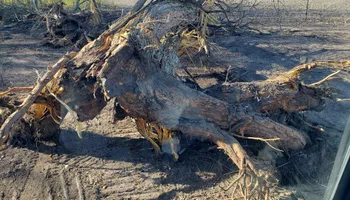 Land Clearing & Demolition for BDS Trucking & Excavating in Litchfield, IL