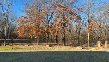 Tree Removal for Cross Family Tree Service in Kearney, MO