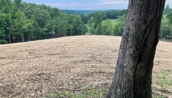 Land Clearing & Demolition for Kidd Excavating LLC in West Liberty, KY