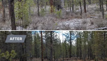 Fire Fuels Reduction for Bailey's Cutting LLC in Bend, Oregon