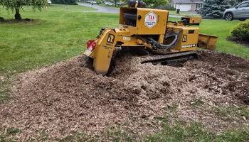 Residential Tree Services for TH Property Service, LLC in Manlius, NY