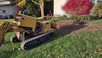 Residential Tree Services for TH Property Service, LLC in Kirkville, NY