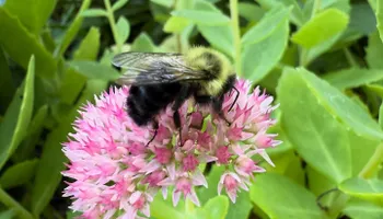 Custom Outdoor Living Spaces for RI Outdoor Living  in Charlestown, Rhode Island