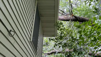 Tree Removal for Allstate Tree Service in Fridley, MN