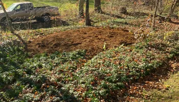 Stump Removal for Mad Dust Stump Grinding in Howard County, MD