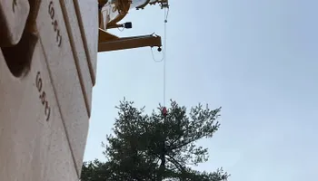 Tree Removal for Abair Tree Service in Weare, NH
