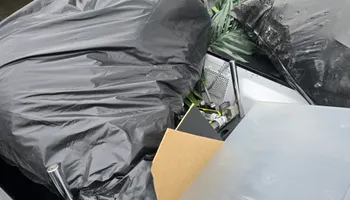 Dumpster Rentals for Newton's Junk Removal Services in Saline, MI