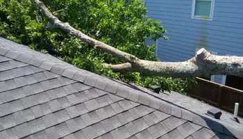 Tree Removal for Marvelous Marvin's Tree Care in Garland, TX