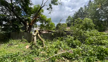 Tree Removal for Licensed to Cut Tree Service in Athens, PA