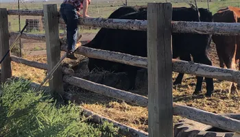 Fence Installation for Burton Fencing in Parowan, UT