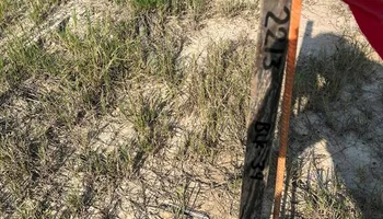 3009 Stacy Ln, Deer Park for My Linda House in Houston, TX