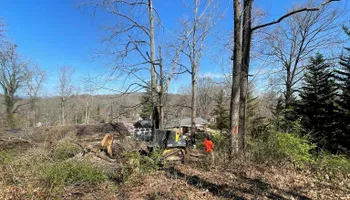 Tree Removal for Lucky’s Tree Removal and Landscape Services in Knoxville, TN
