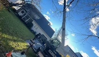 Tree Removal for Smith Tree Experts in Palmyra, VA