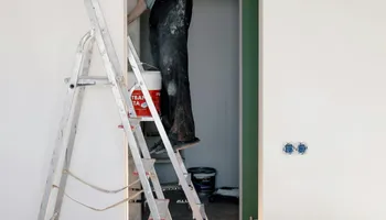 Painting and Drywall for Preferred Building Services LLC in Honolulu, HI