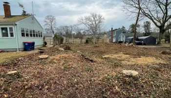 Tree Removal for Robery's Tree Service in West Wareham, MA