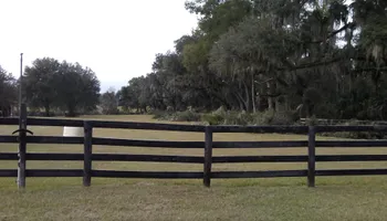 Tree Removal for Asbell's Tree & Land Services in Gilchrist County, FL
