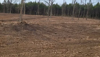 Land Clearing & Demolition for S & K Excavation LLC in Bonne Terre, MO
