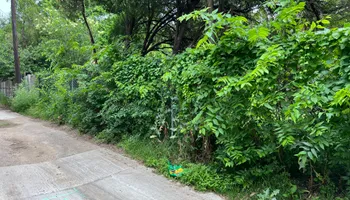 Mowing for Cortez Landscaping Services in Mesquite, TX