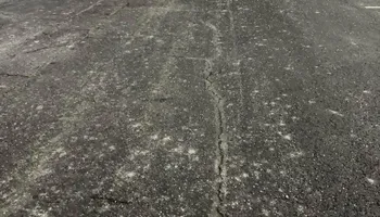 Tree Removal for Complete Care in Cumberland Gap, TN