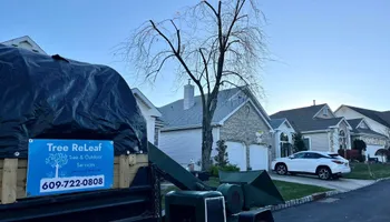 Tree Removal for Tree ReLeaf in Manalapan, NJ