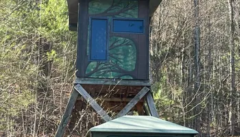 Kitchen Renovation for CM Construction in Erwin, TN
