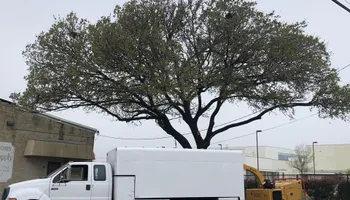Tree Trimming for Twin Oak Solutions in Carrollton, TX